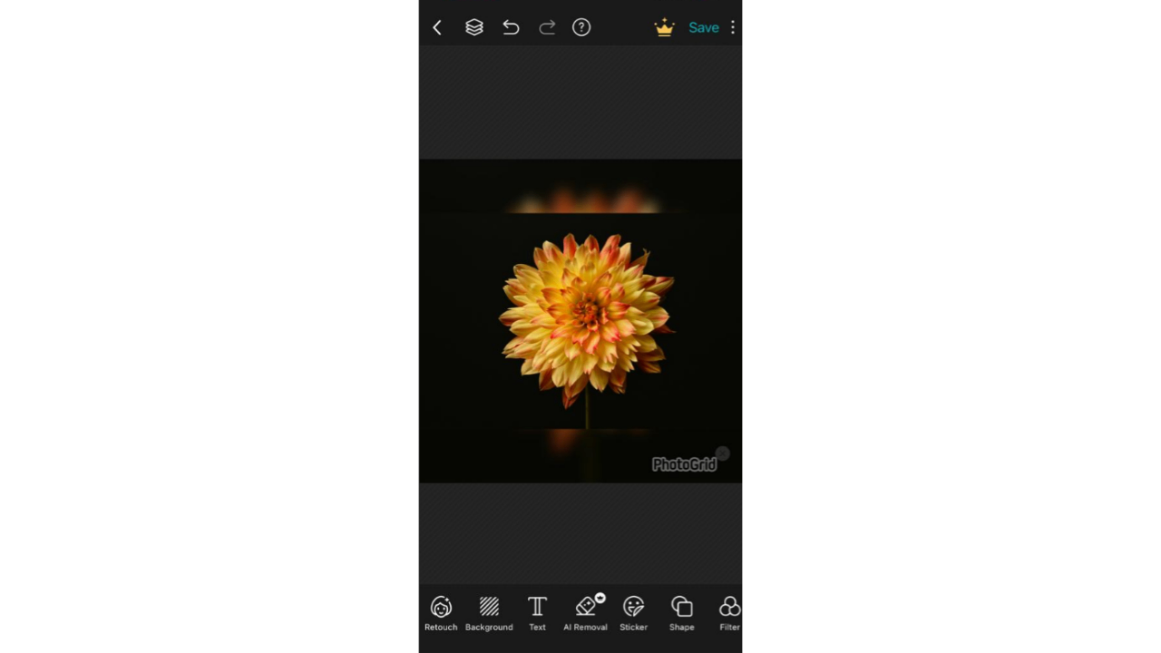 PhotoGrid bezplatná aplikace pro psaní textu na fotografie