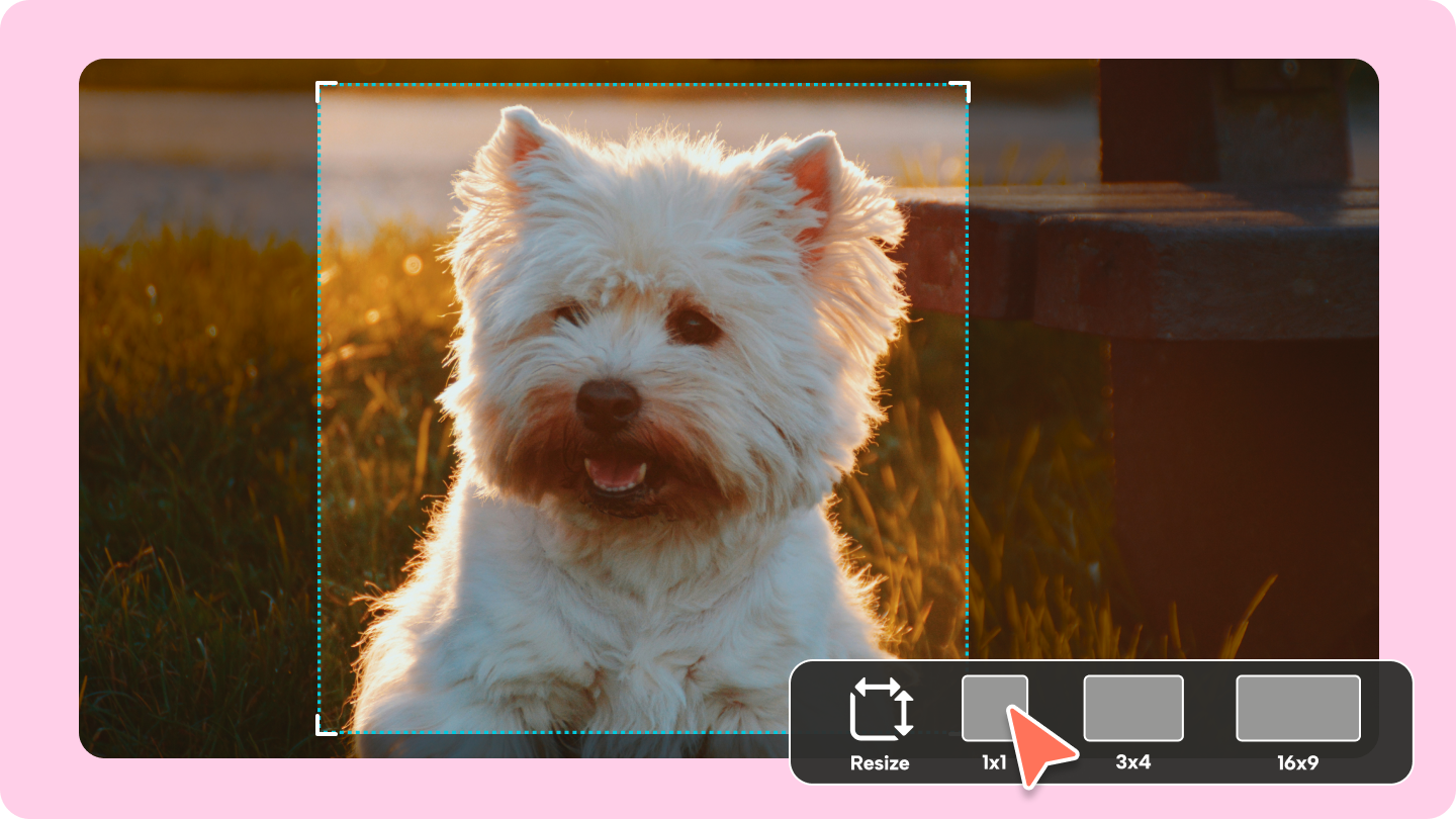 Instagram Image Size 