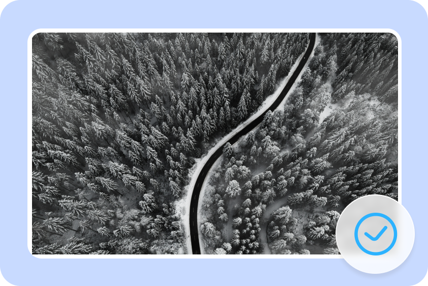 Easily make images grayscale in CapCut for free