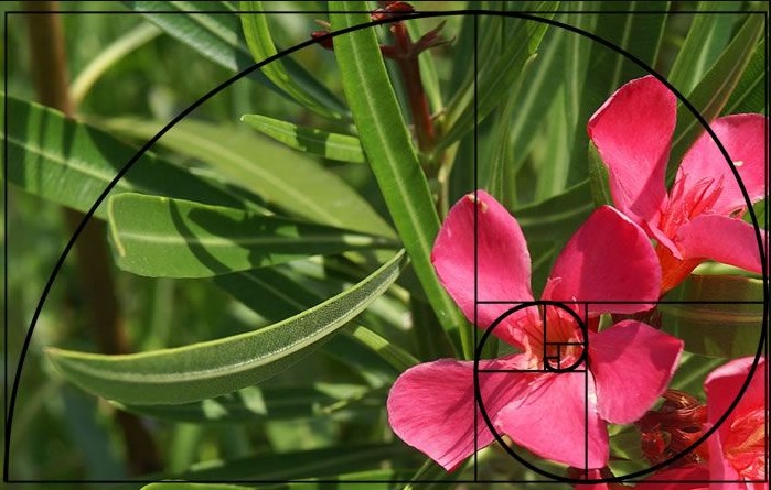Macro photography