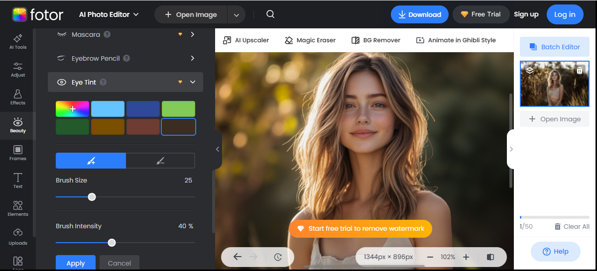 Die Schnittstelle von Fotor - einem der besten Online-Augenfarben-Editoren