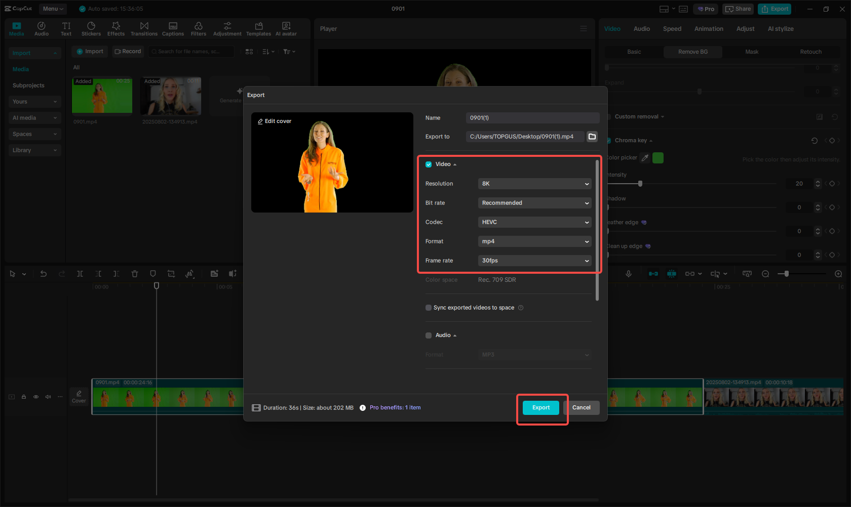 Export background-removed video