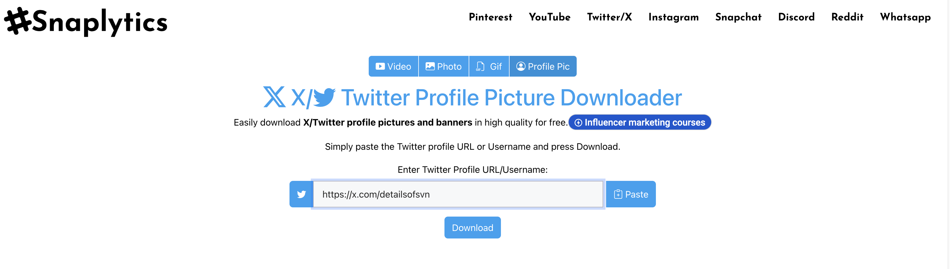 SnaplyticsインターフェースにURLを貼り付けてください。