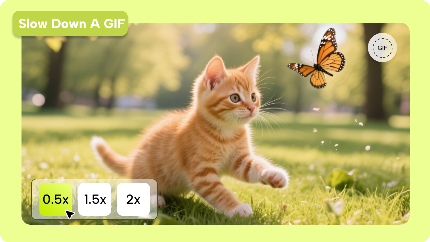 sakta ner ett gif