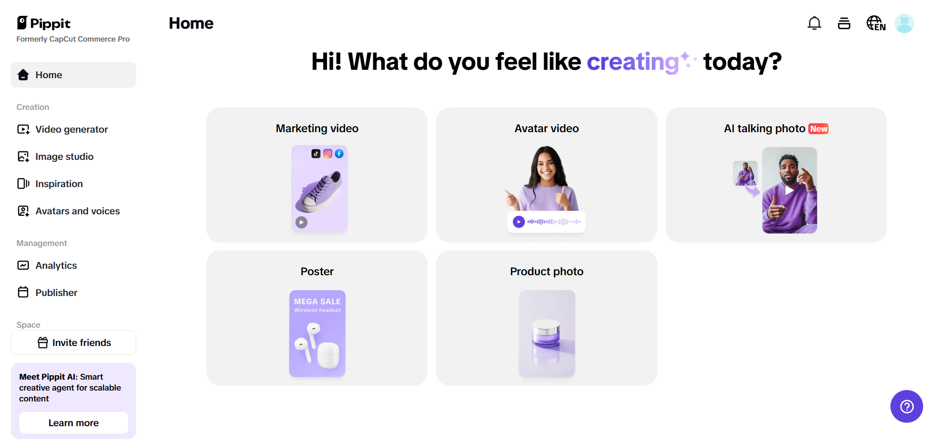 Pippit homepage
