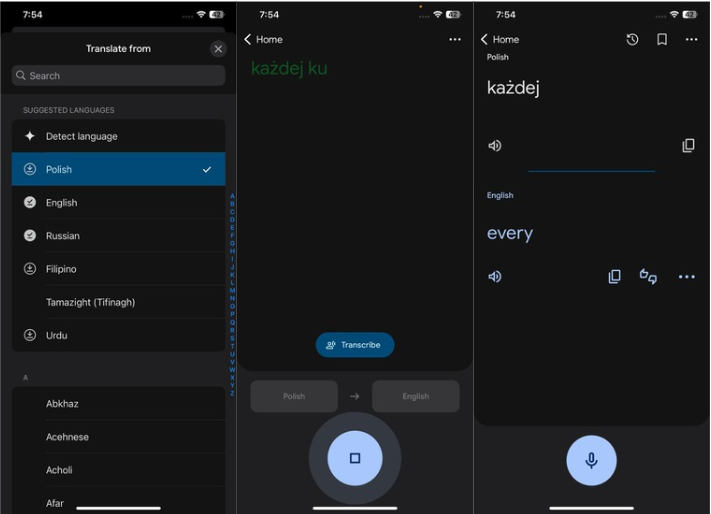 Using voice translation for Polish to English translation on Google Translate