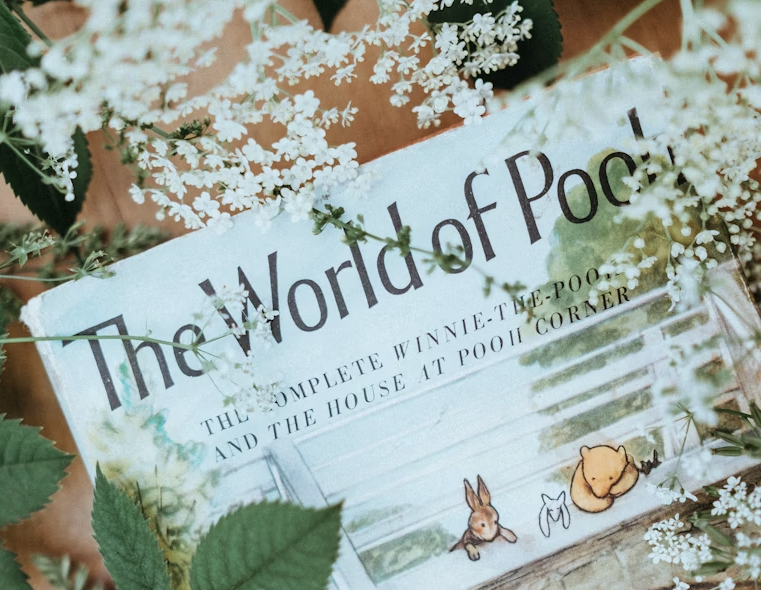 Yüz Dönüm Ormanı büyülü orman