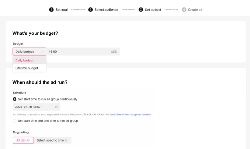 Set budget and schedule