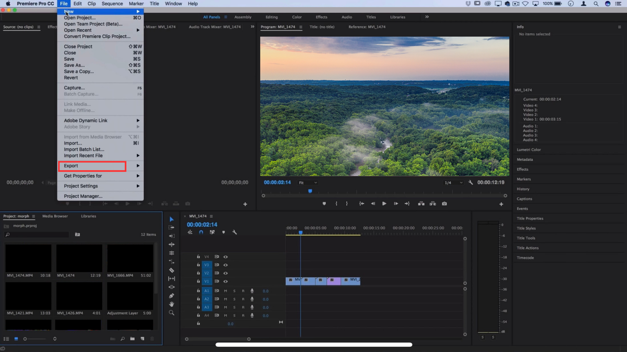 Export your video
