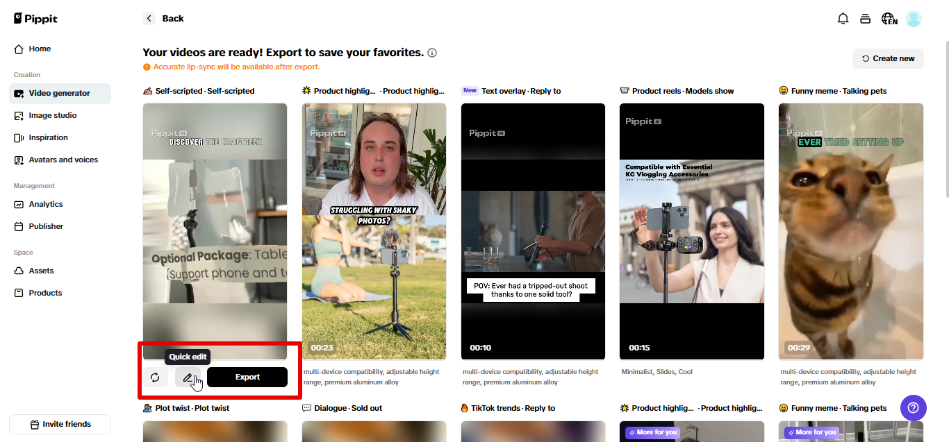 Exporting video from Pippit