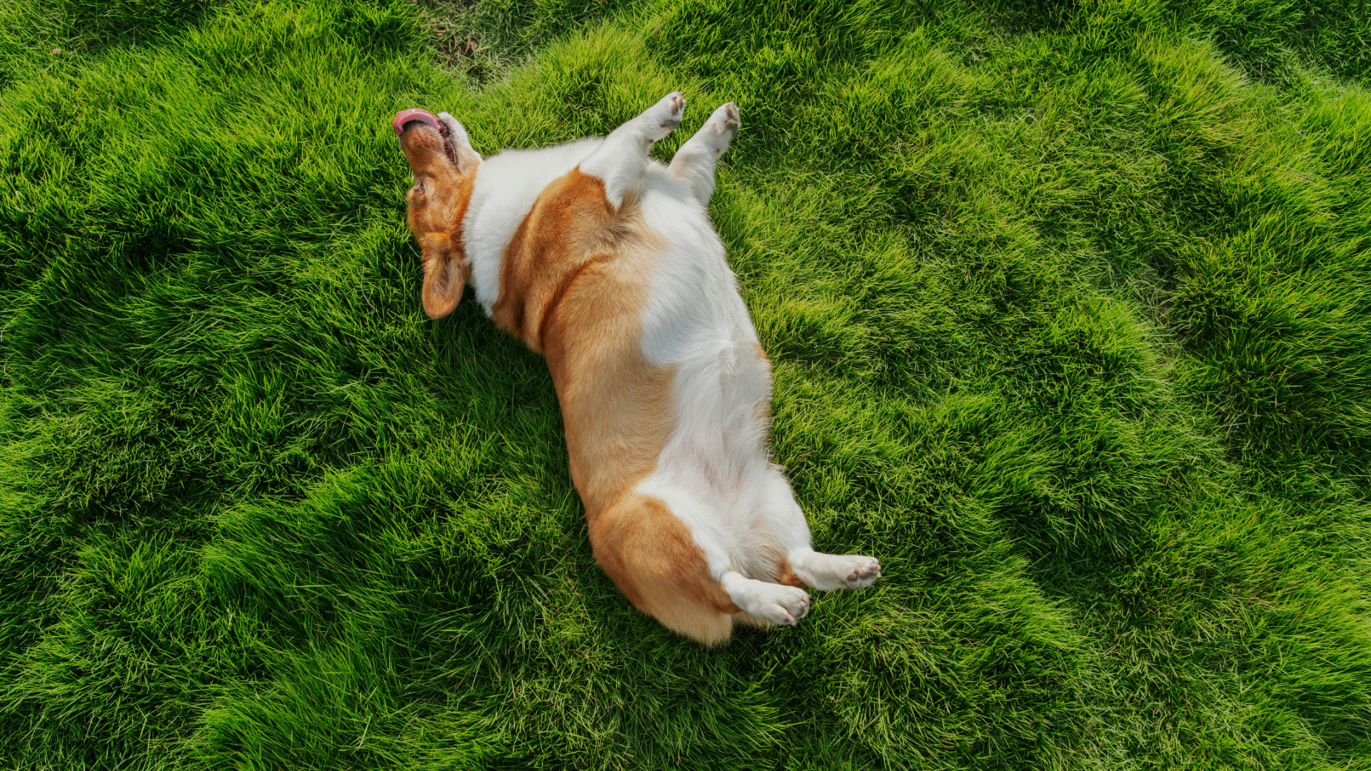 The importance of good lighting in images