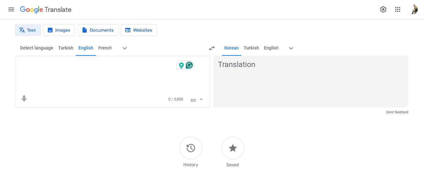 Access Google Translate