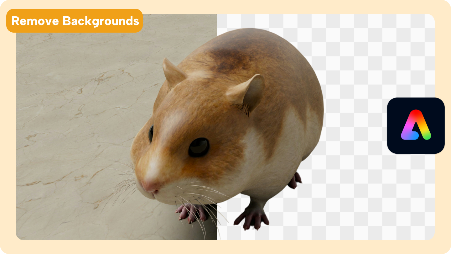 Adobe express remove background 