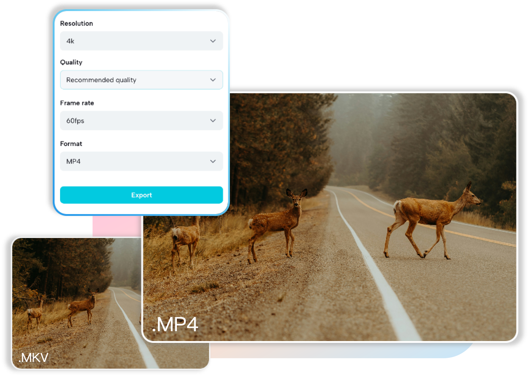Convert MKV to MP4