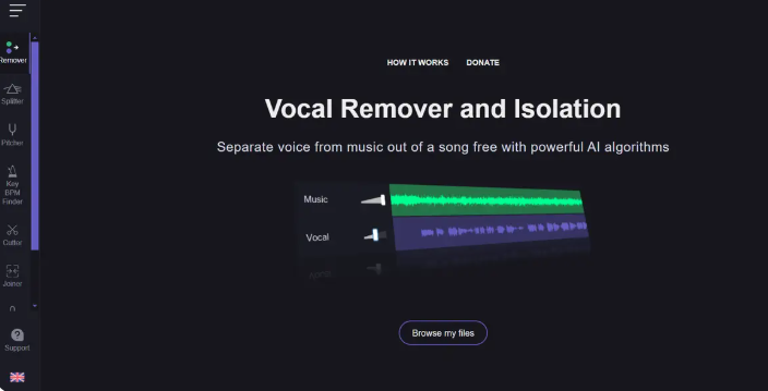 Eliminare vocală și izolare