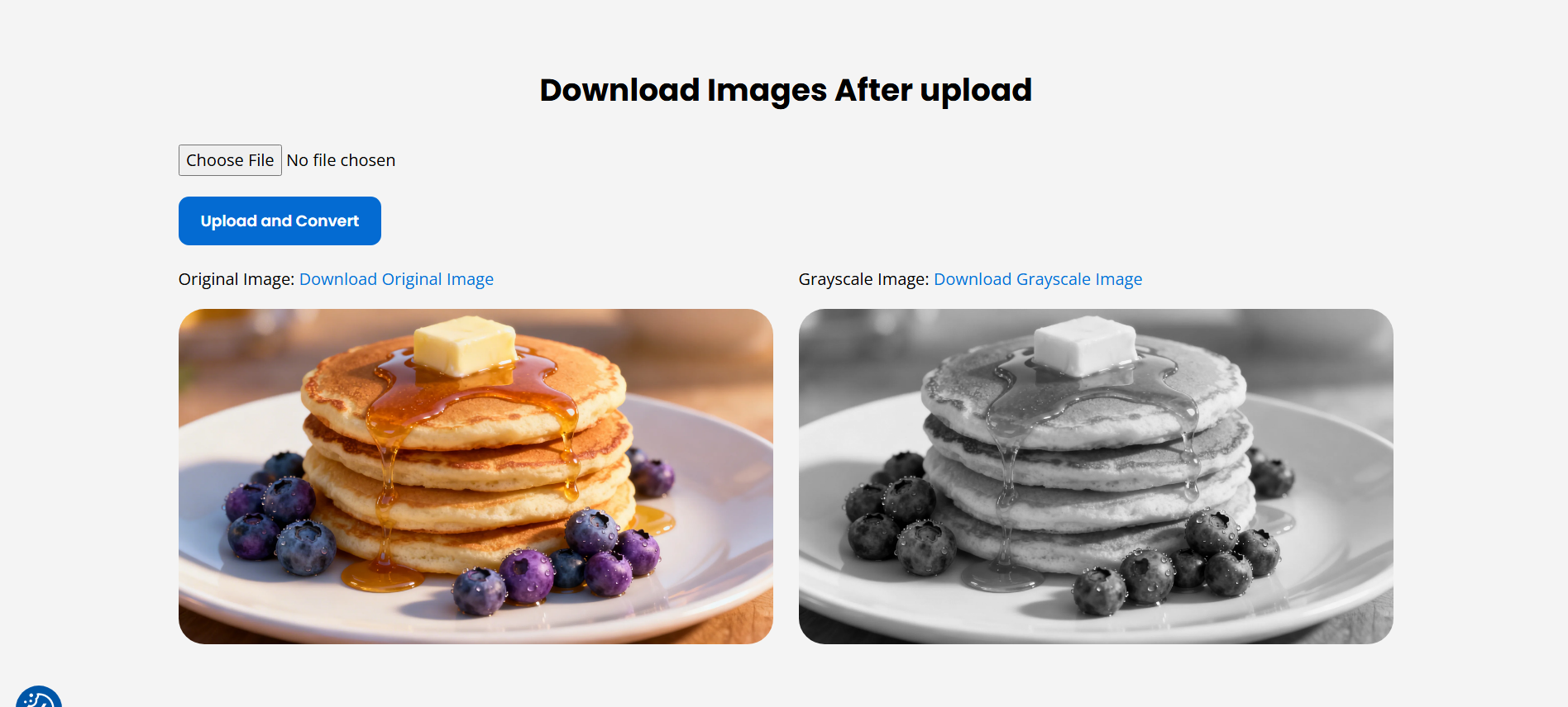 Interface de imagem em tons de cinza