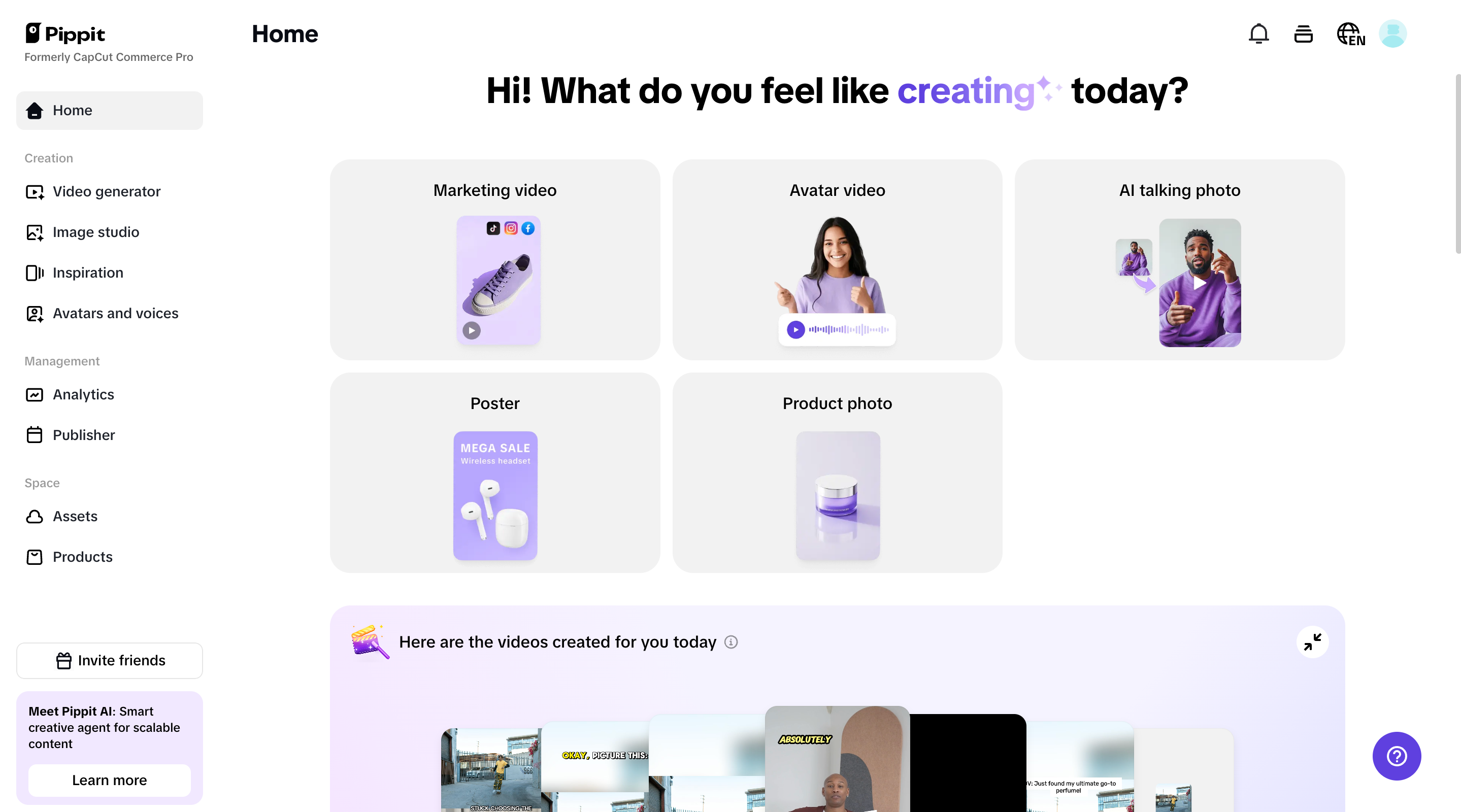 Pippit homepage