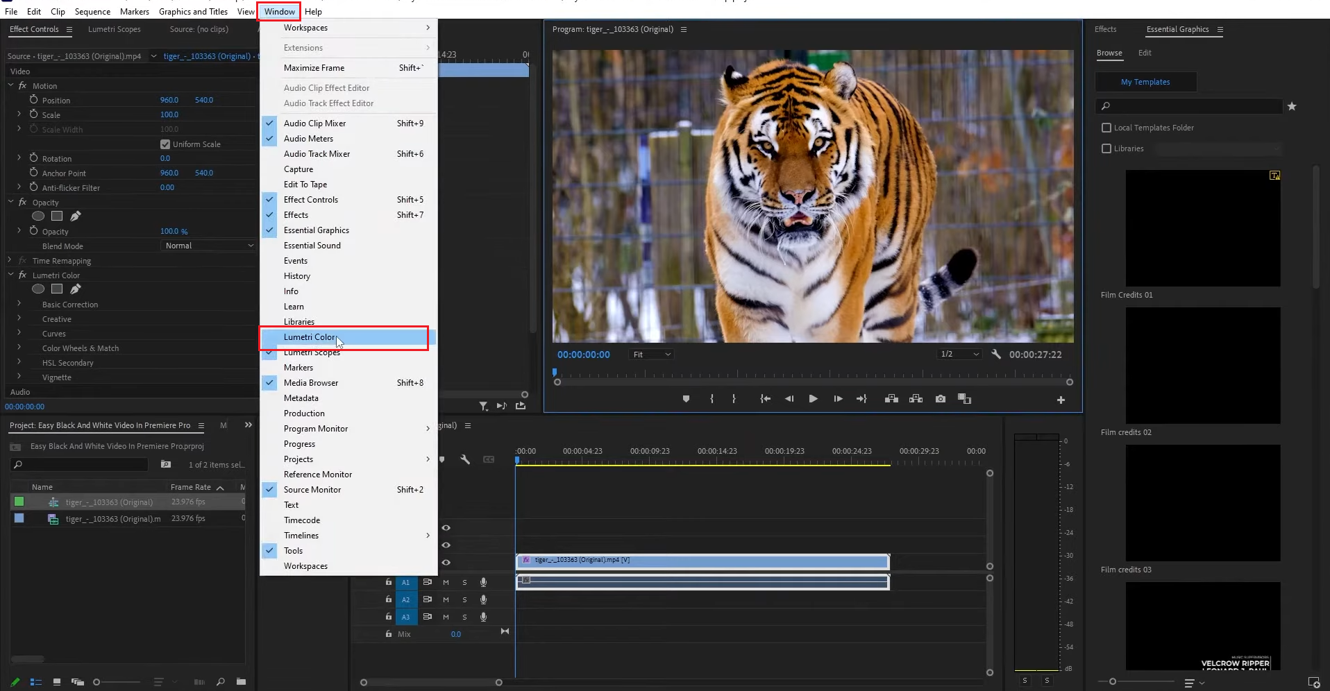 Open video in Premiere Pro