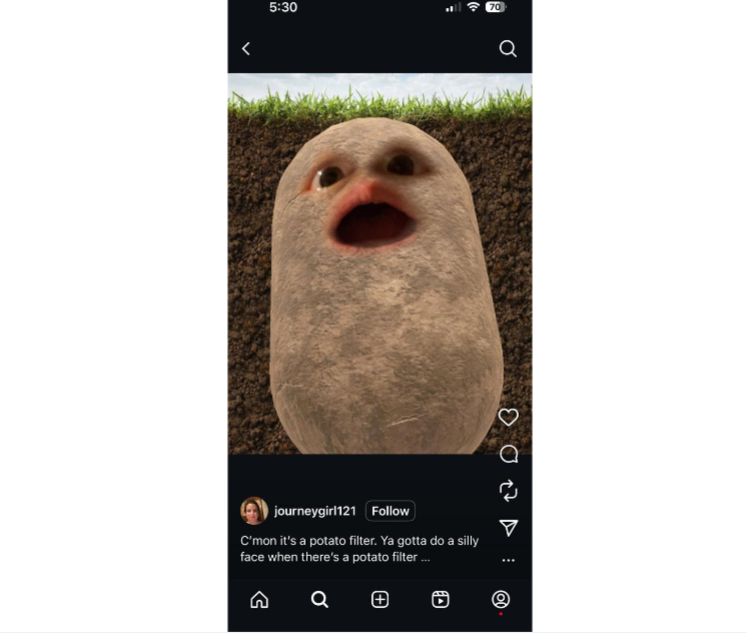 Instagram Potato face filter