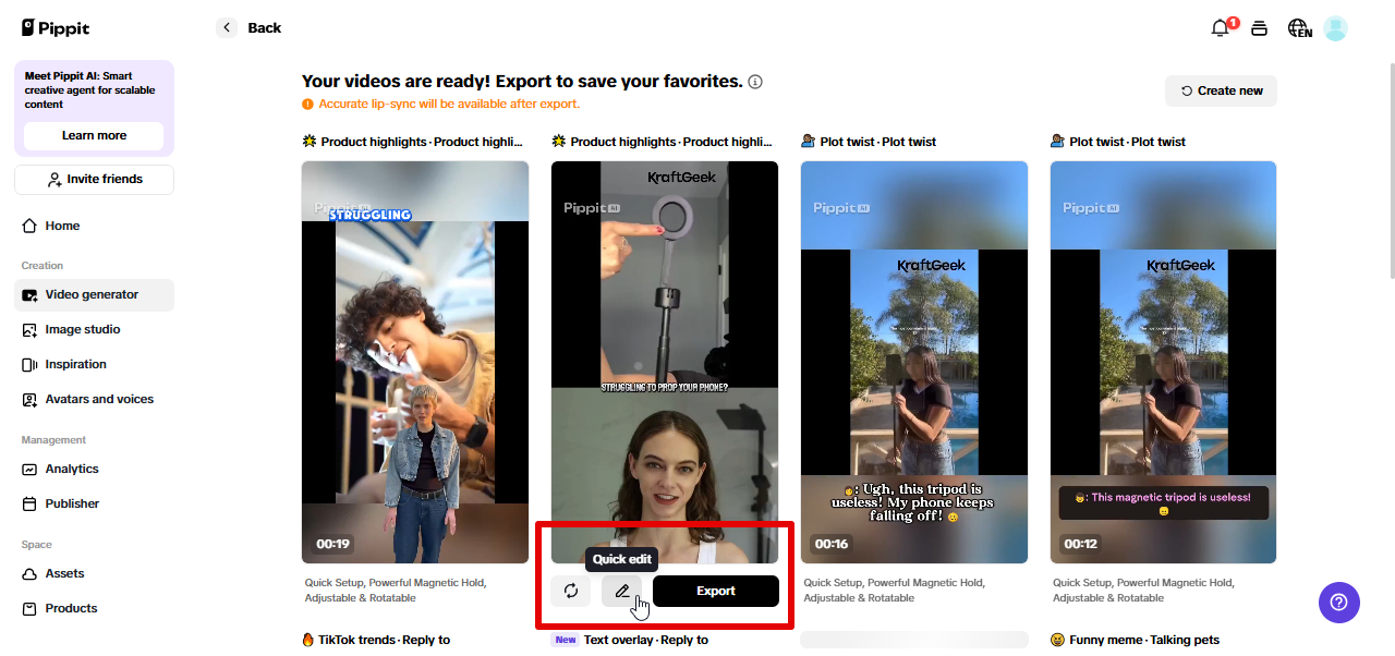 Exporting video from Pippit