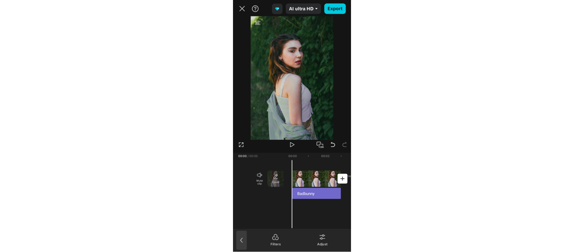 CapCut App filter