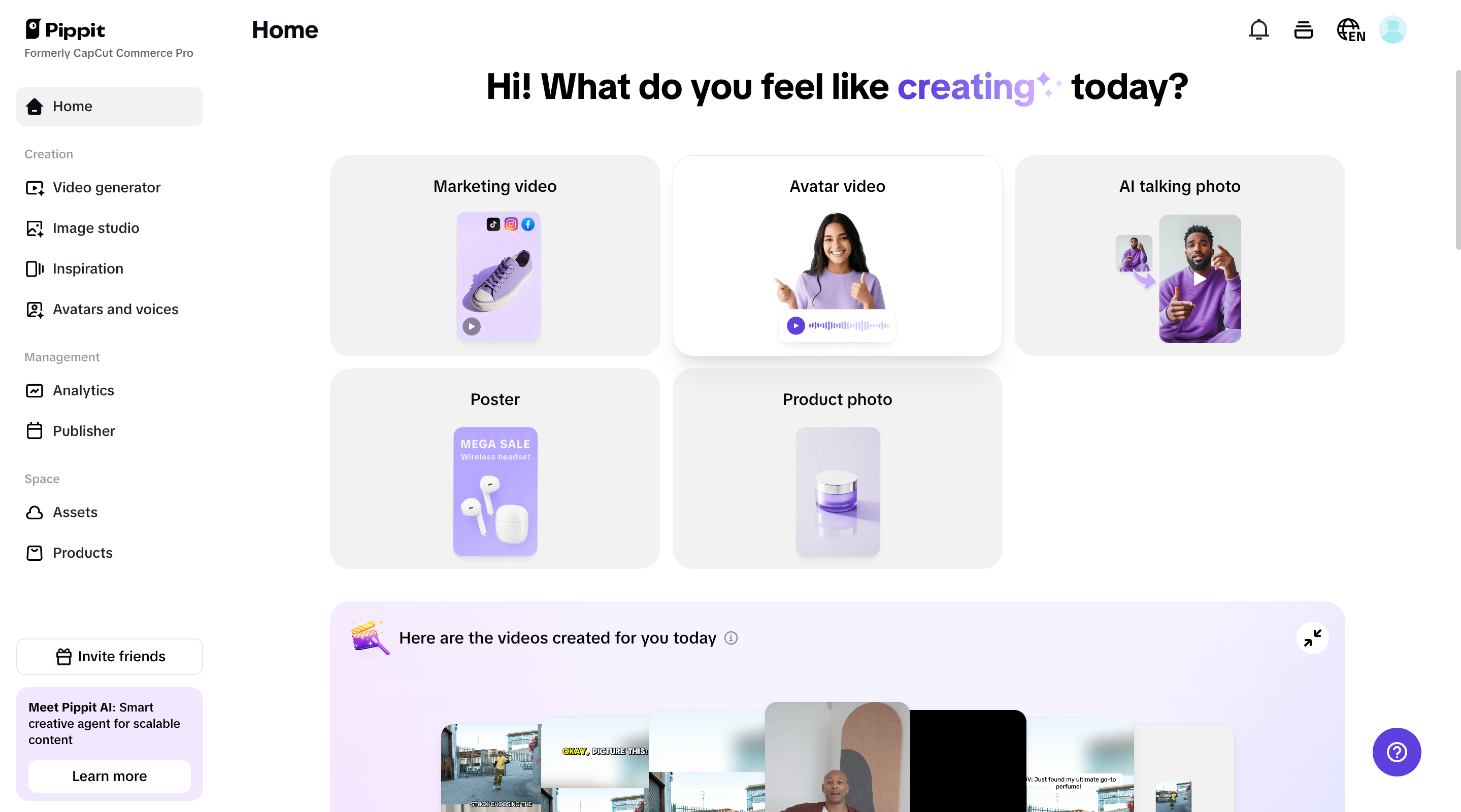 Pippit homepage