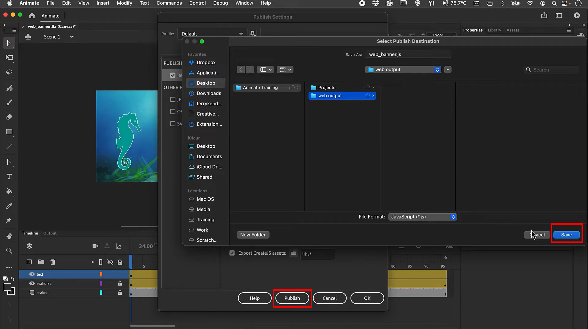 Image showing the publish options for animation in  Adobe Animate