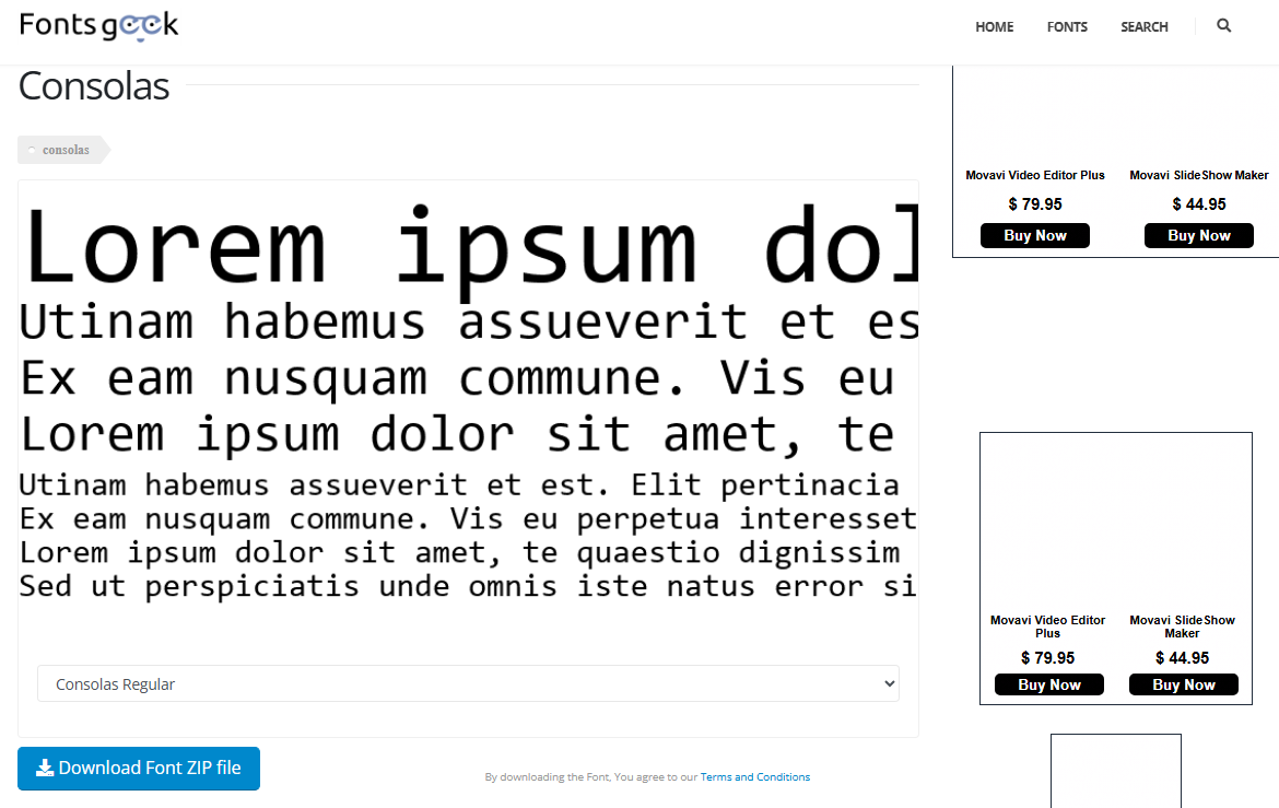 FontsGeek Consolas font family