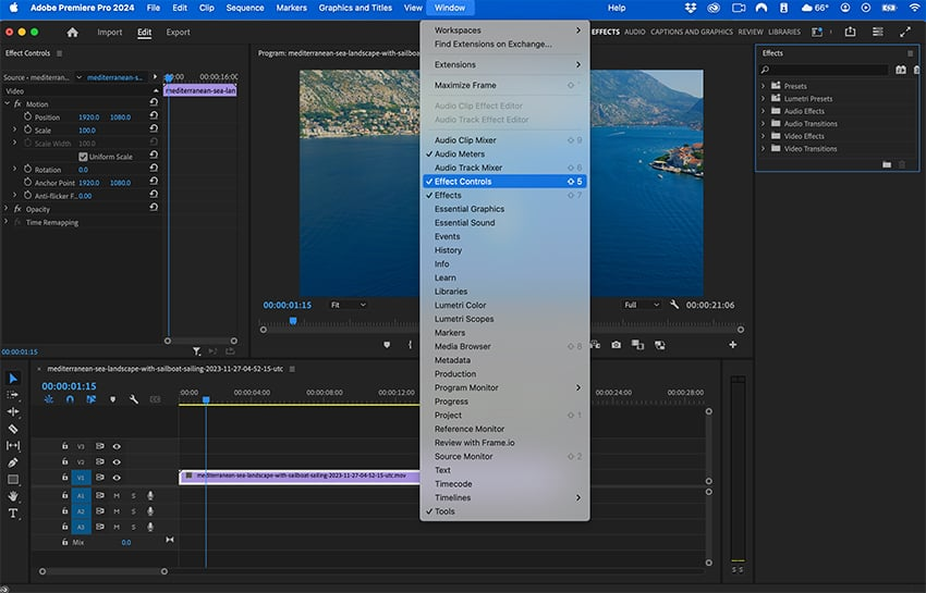 Choose Effect Controls in Premiere Pro