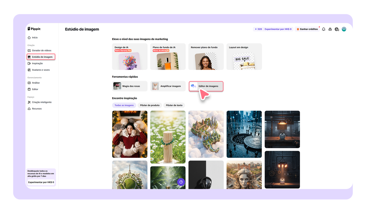 Editor de fotos do Pippit