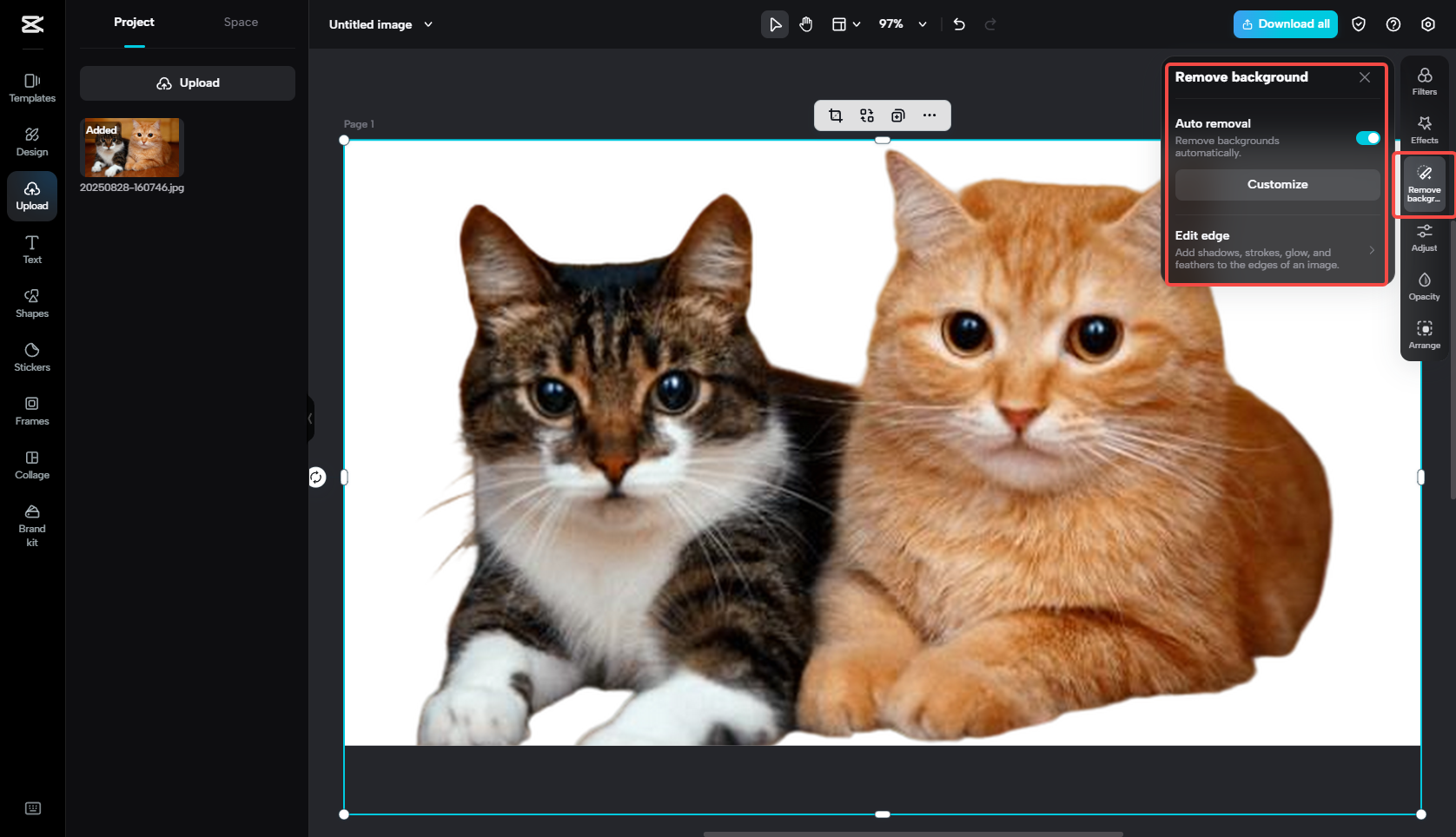 Remove the image background