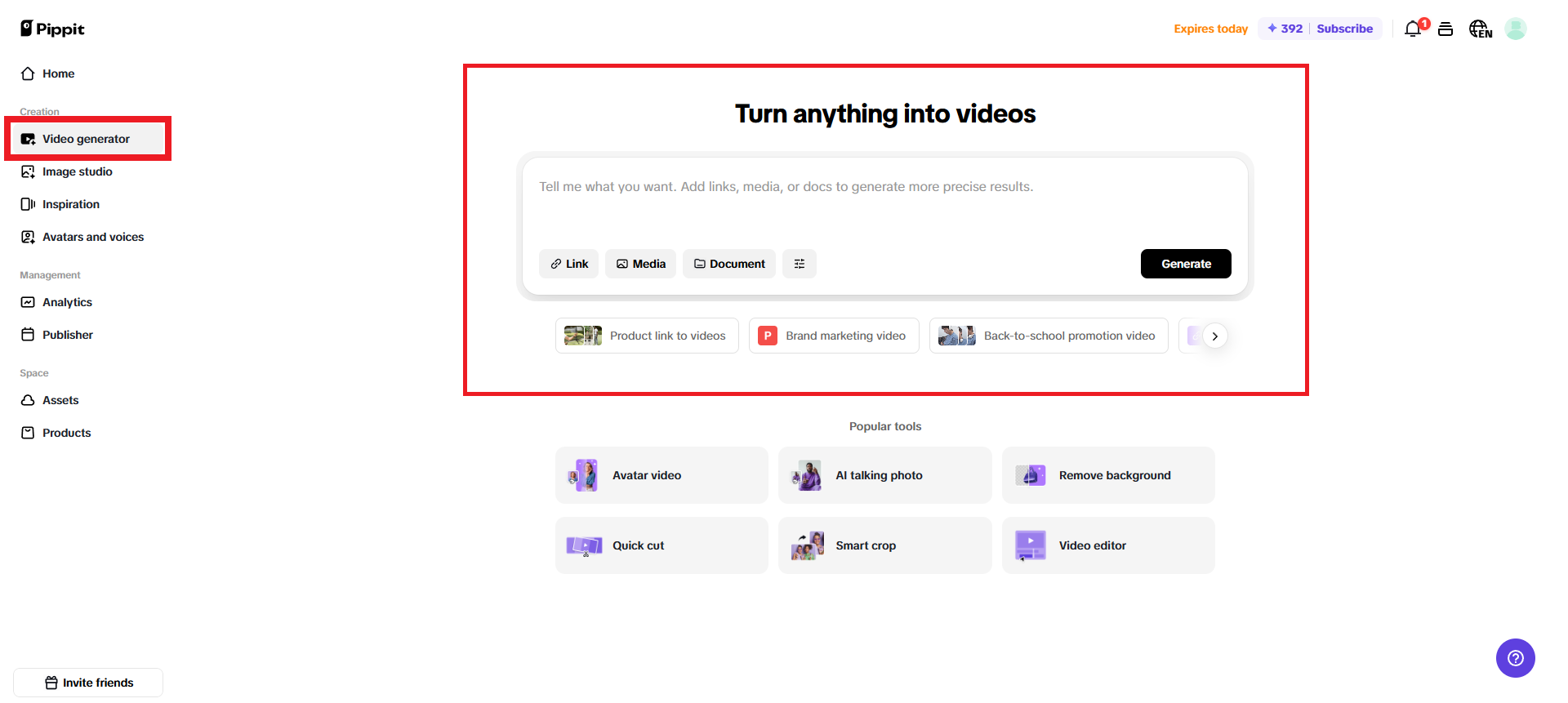 Enter your video generation input