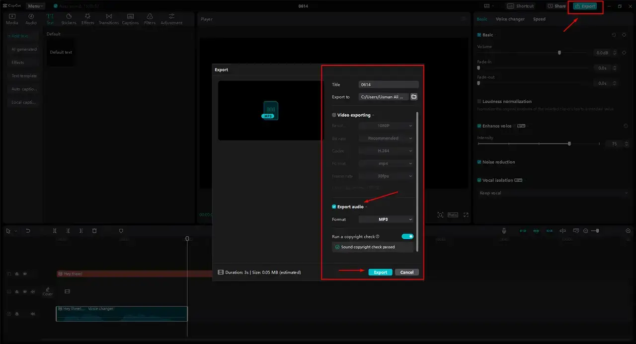 Export and Download
