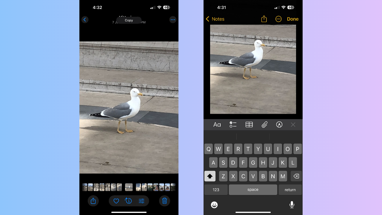 Cut and paste pictures on iPhone across apps
