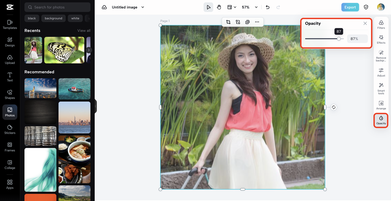 opacity tool