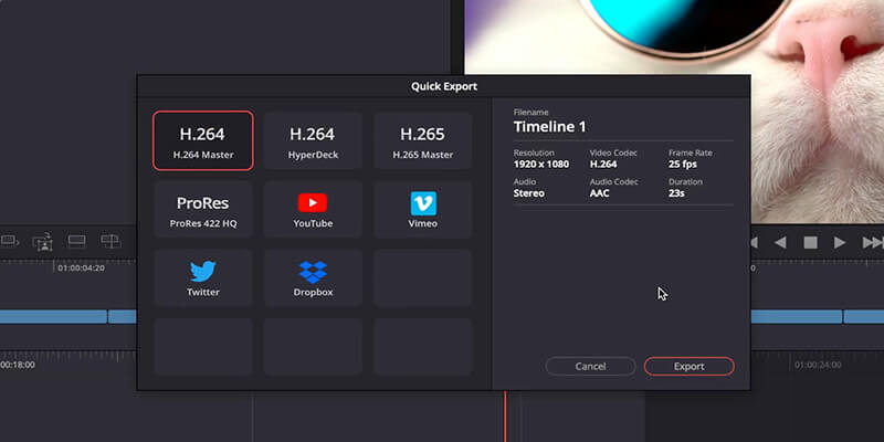 Converting the image sequence to video in DaVinci Resolve