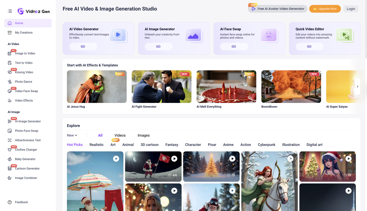 Vidnoz interface