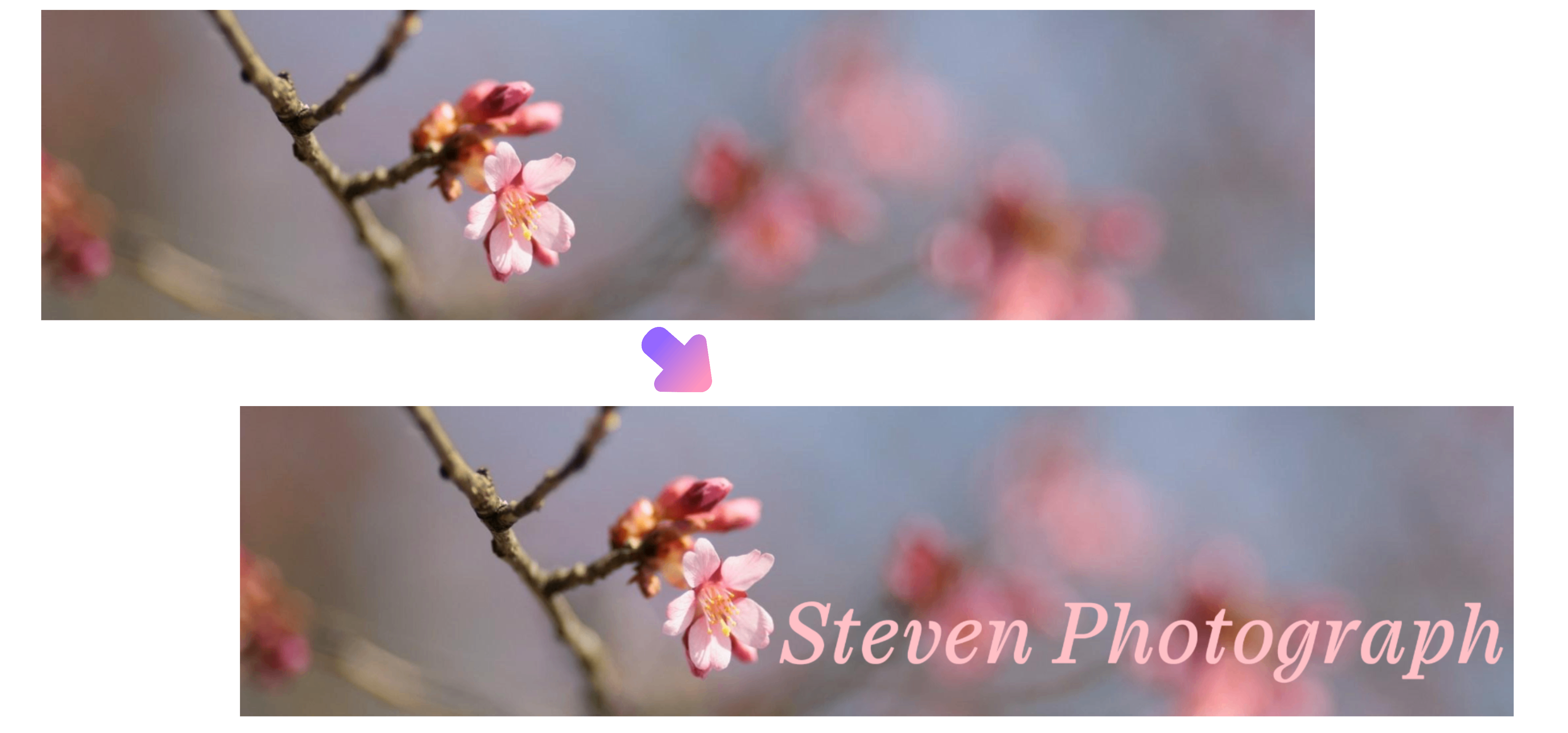 Superposición de texto