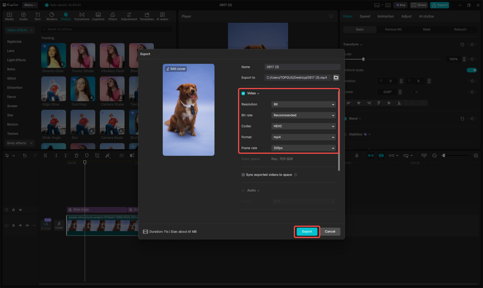 Export the video with effects