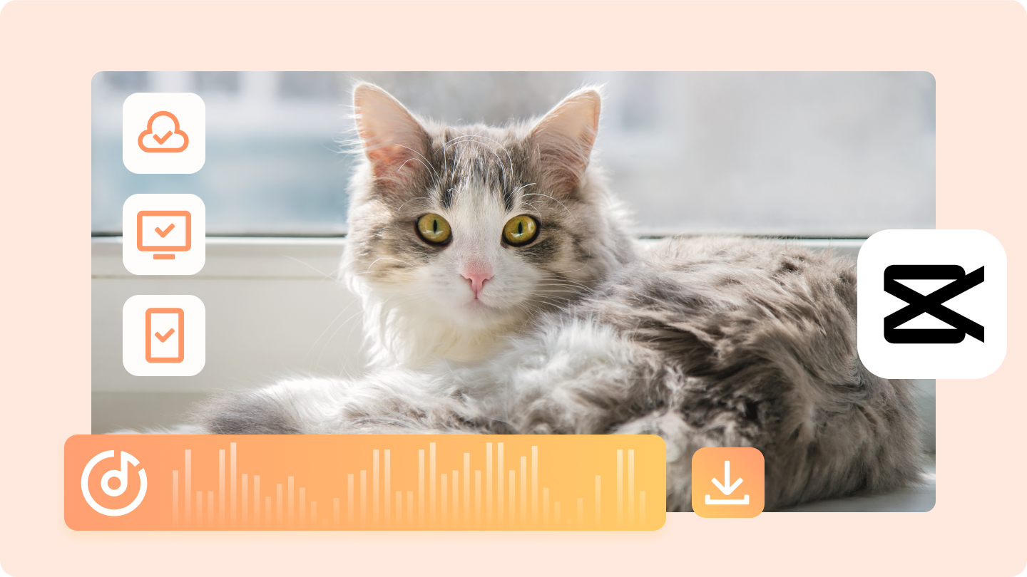 Ladda ner Bedårande Cat Sound MP3 för dina projekt