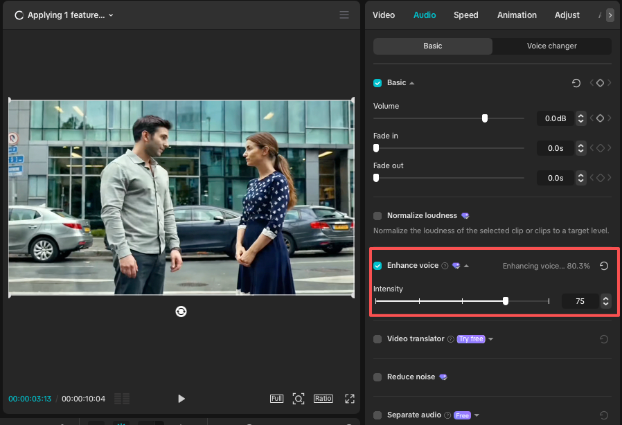 Enhance and adjust audio