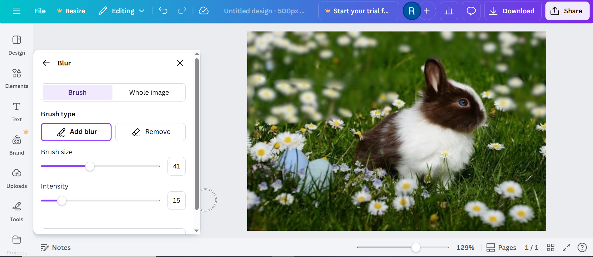 Canva - an online picture editor to blur the background