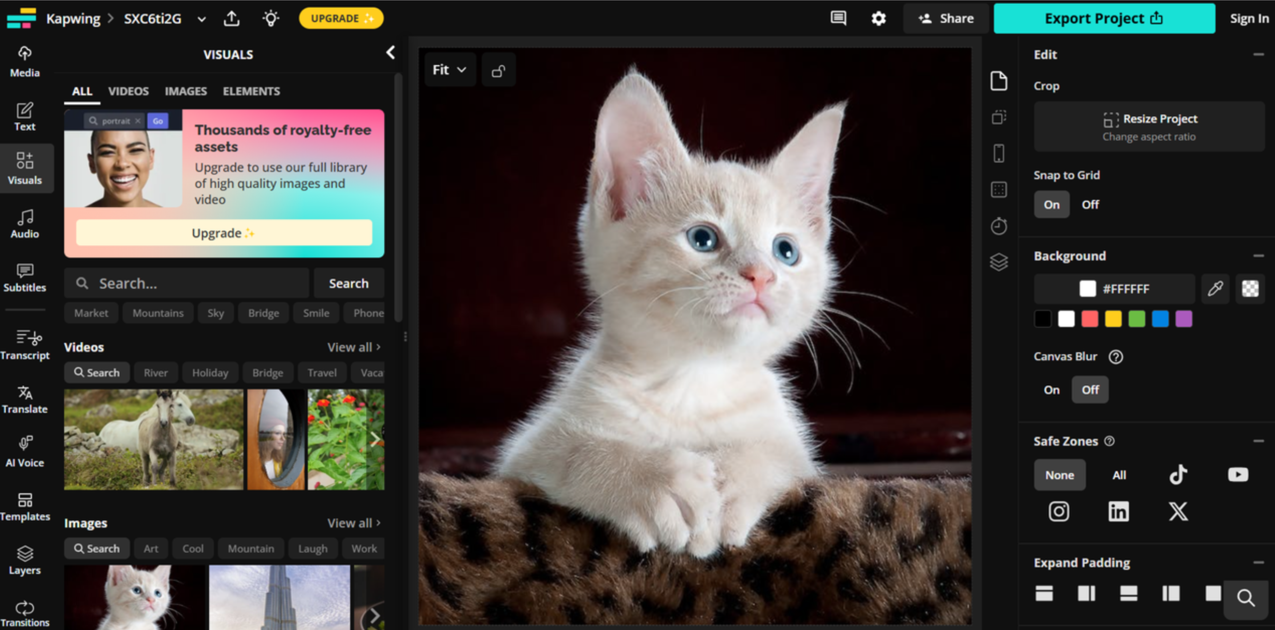 Kapwing - the ideal tool to convert pictures to GIFs