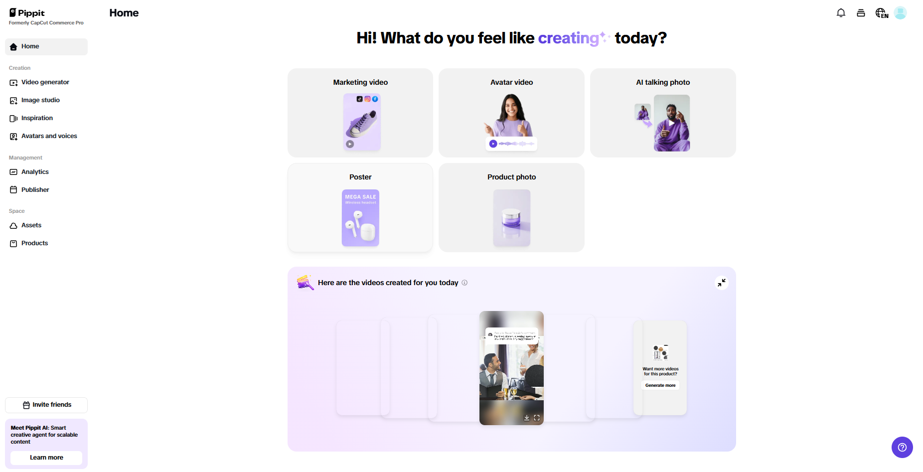 Pippit interface