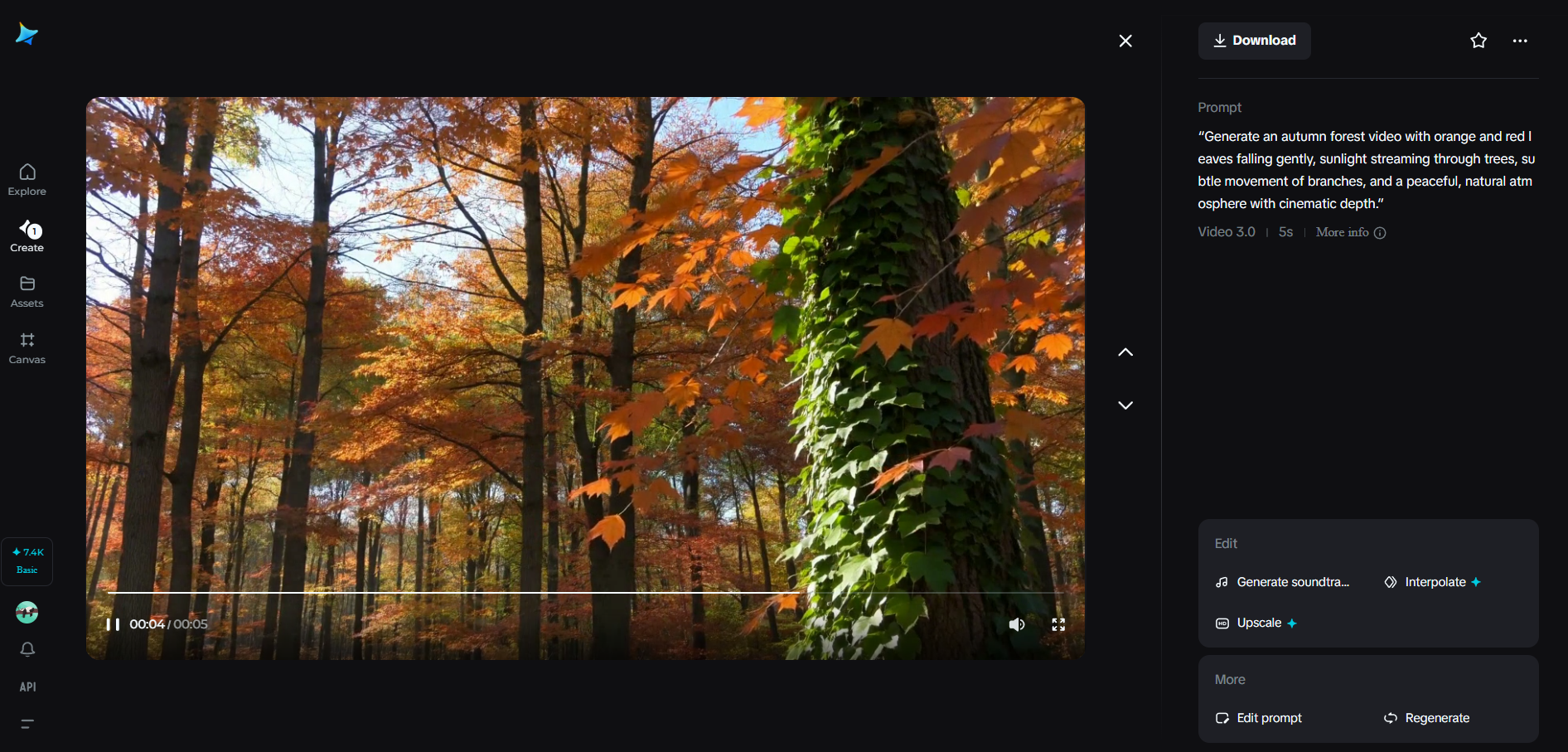 A forest in autumn images