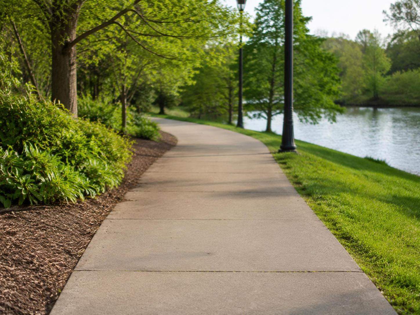 Remove Trash Can From Photo example with a clean, realistic edited result