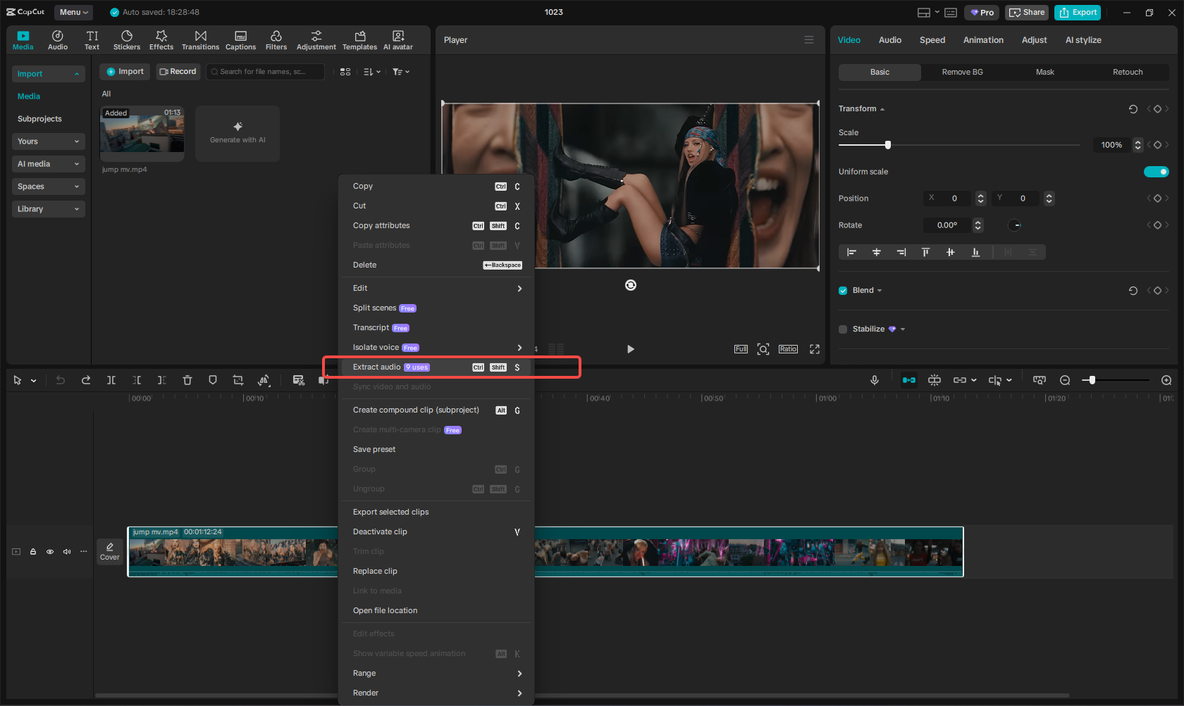 convert video to mp3 with capcut