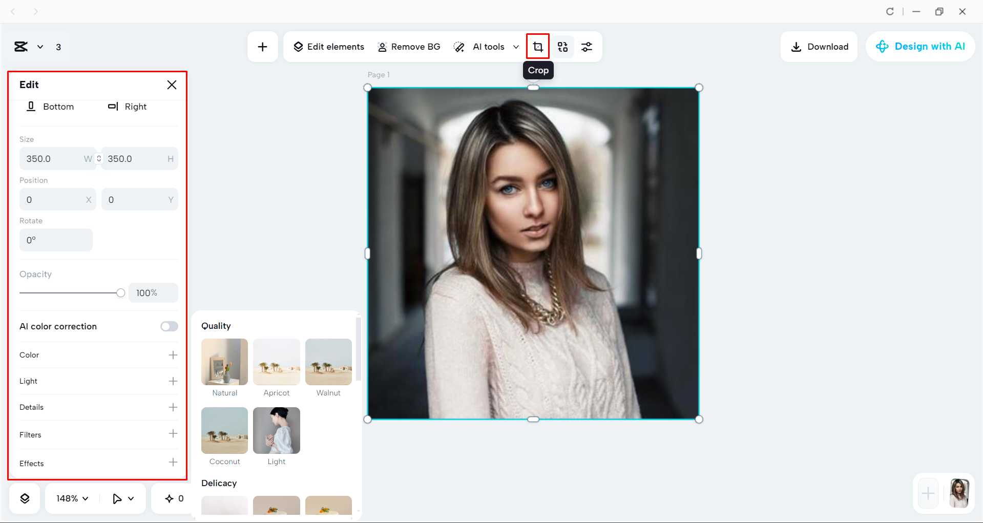 Adding filters and adjusting image size with the CapCut desktop video editor