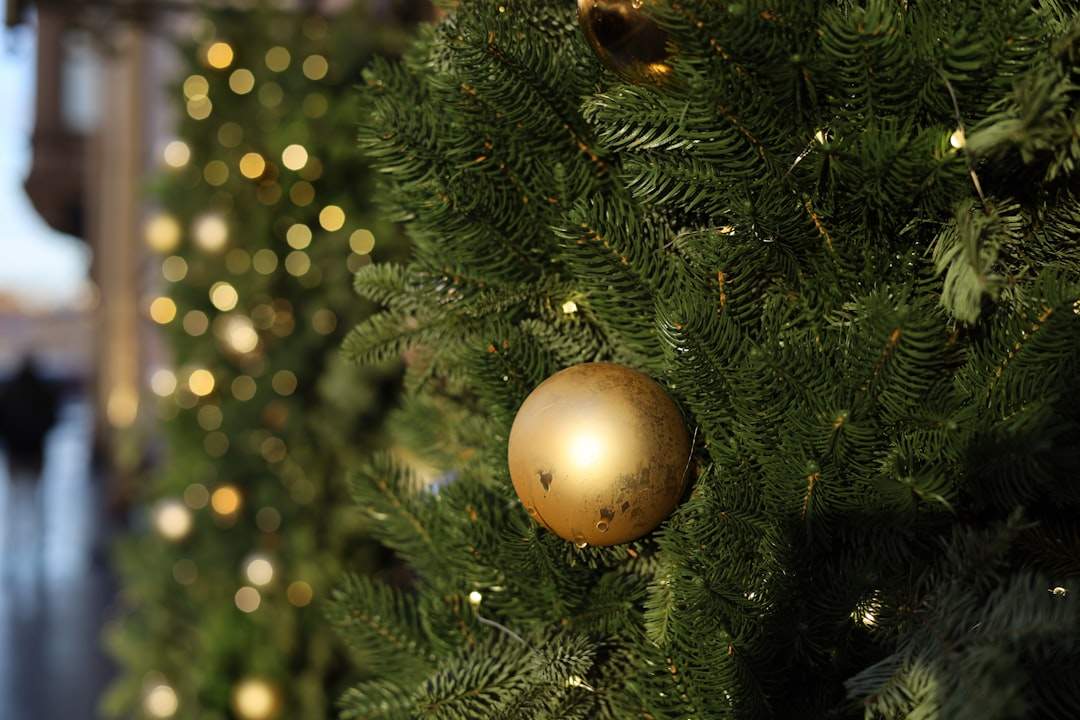 Christmas tree reveal with gold accents