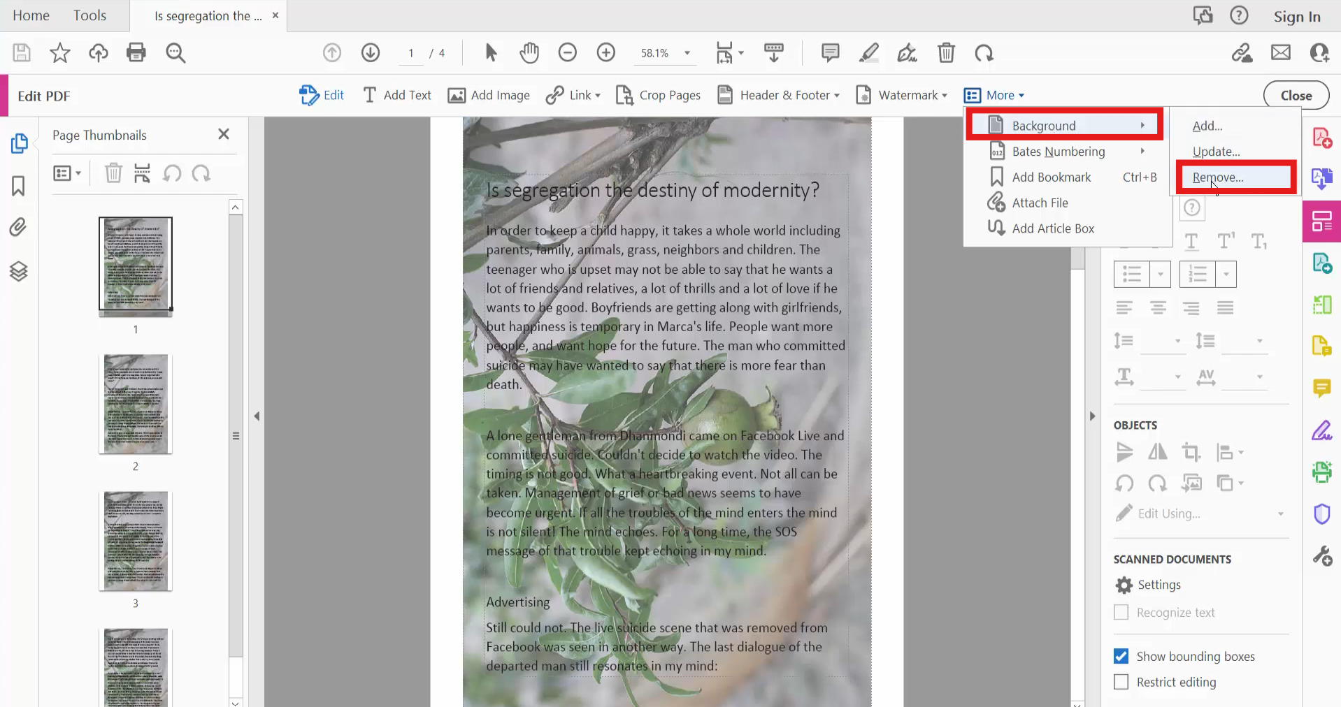 Adobe Acrobat interface